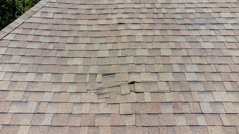 Roof Inspection for Repairs