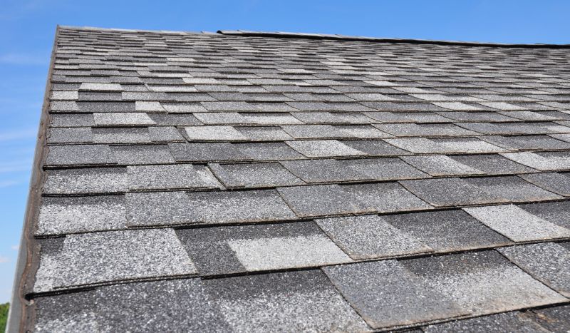 Specialized Roofing Experts